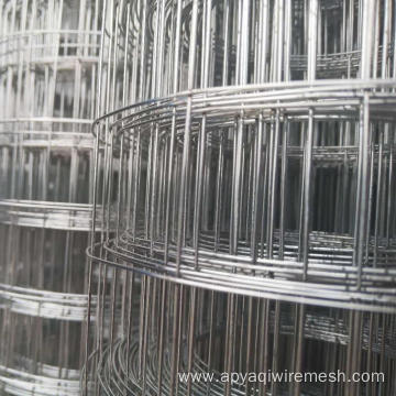 1/4 inch PVC Coated/Galvanized Welded Wire Mesh